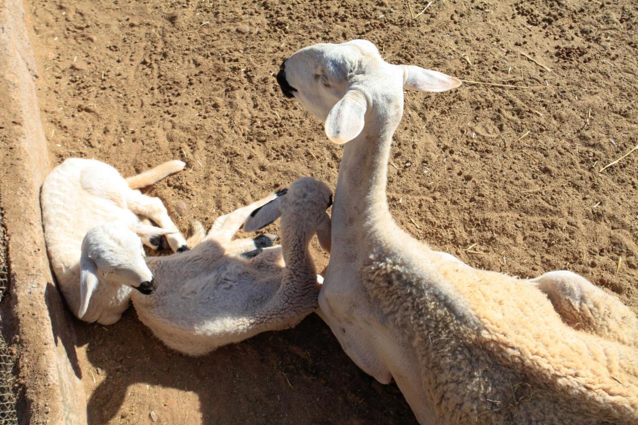 מלון מרקש The Farm מראה חיצוני תמונה