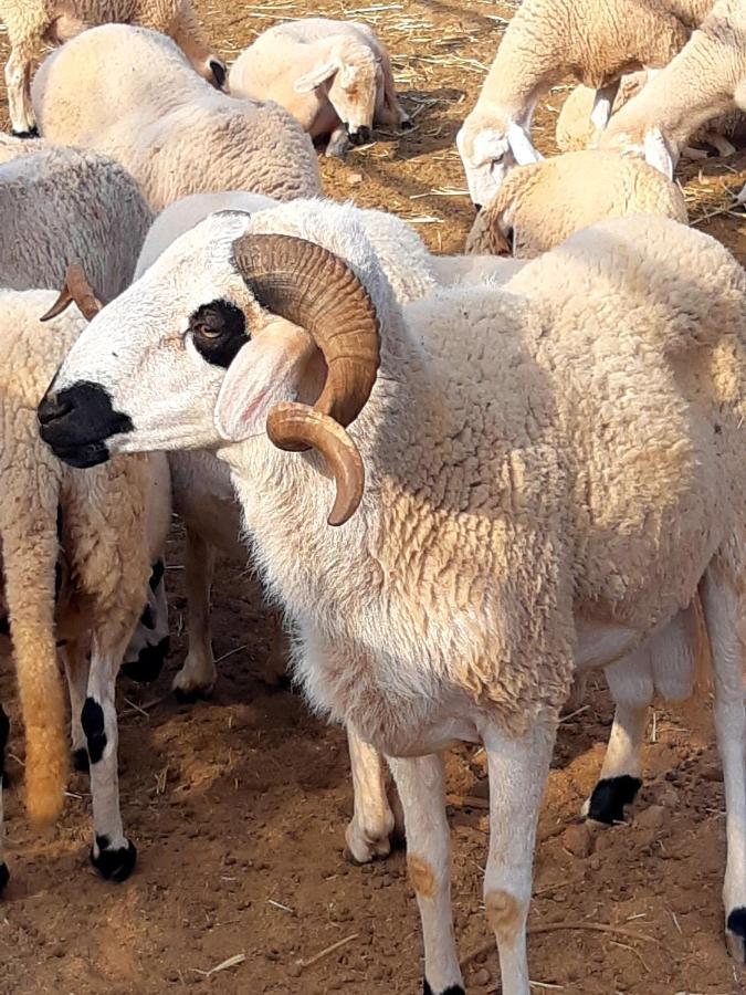 מלון מרקש The Farm מראה חיצוני תמונה